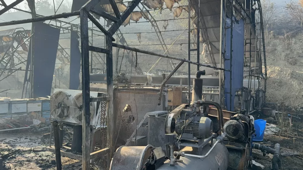Düzce’deki orman yangınında keçi üretim çiftliği küle döndü