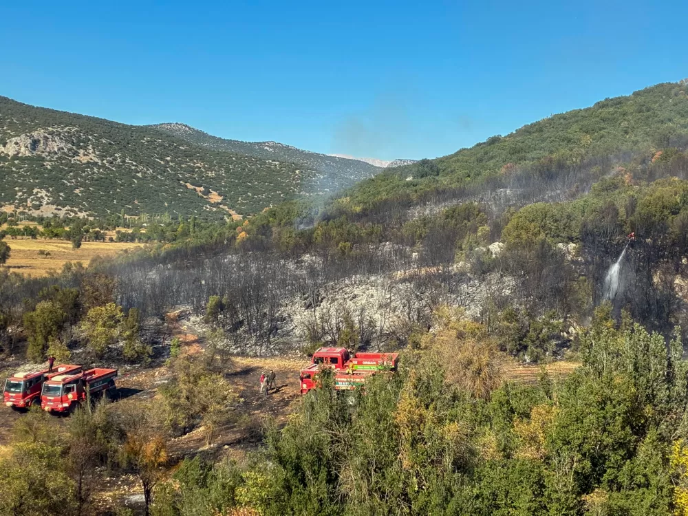 Ağlasun'da orman yangını kontrol altında! Başkan Ercengiz bölgede bilgi aldı