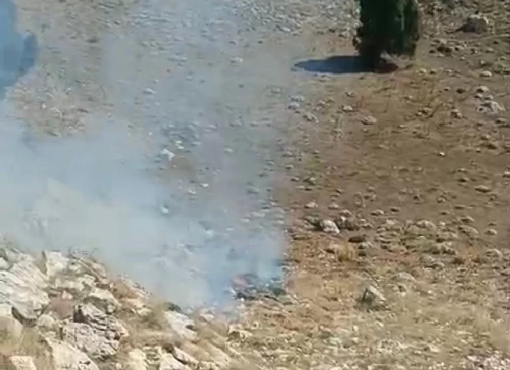 Burdur'da çalılık alanda yangın