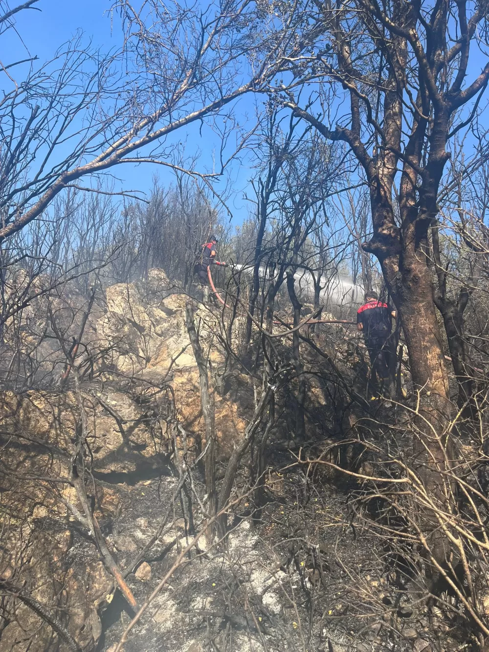 Ağlasun'da orman yangını kontrol altında! Başkan Ercengiz bölgede bilgi aldı