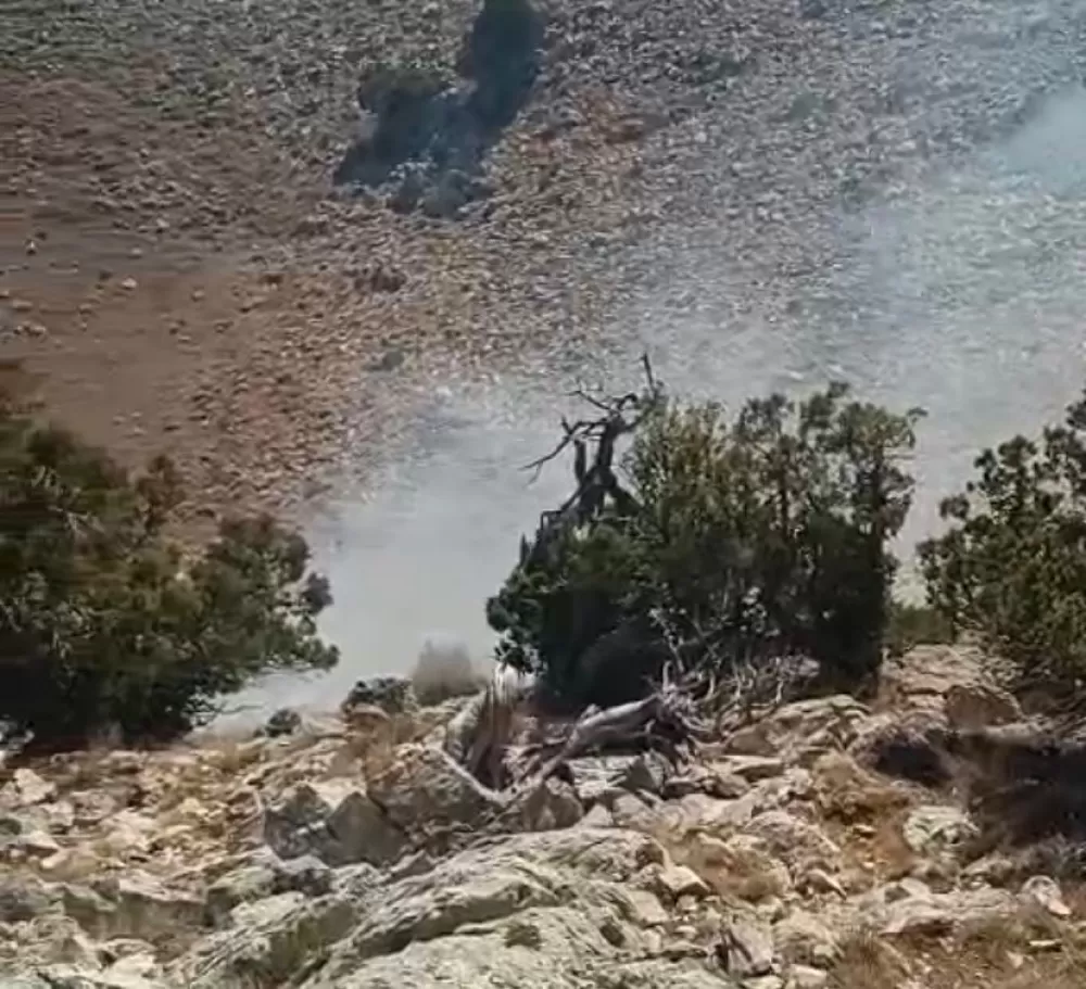 Burdur'da çalılık alanda yangın