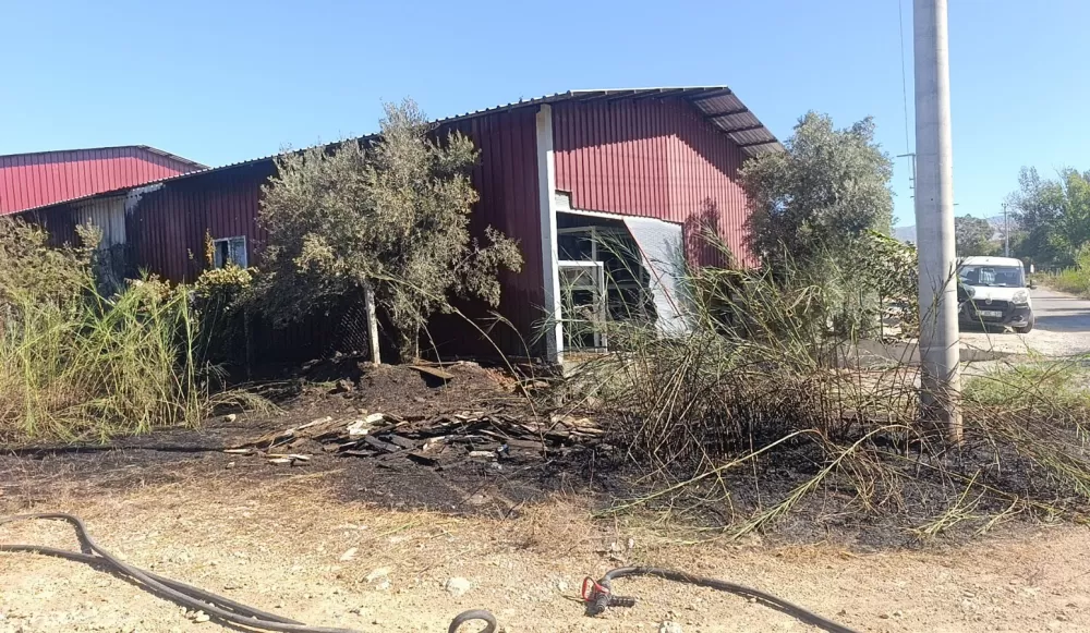 Kamışlık alanda başlayan yangın gıda toptancı deposuna sıçradı