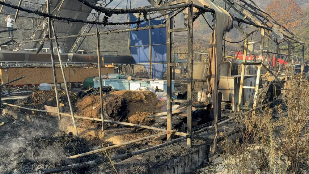 Düzce’deki orman yangınında keçi üretim çiftliği küle döndü