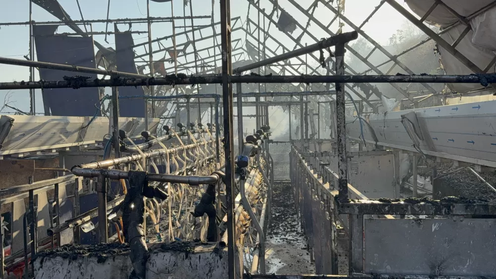 Düzce’deki orman yangınında keçi üretim çiftliği küle döndü