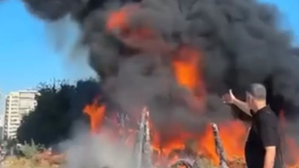 Adana'da ağaçlık alanda yangın! Ekipler seferber oldu