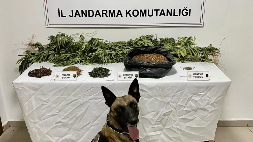 Afyonkarahisar'da uyuşturucu operasyonunda 1 kişi tutuklandı