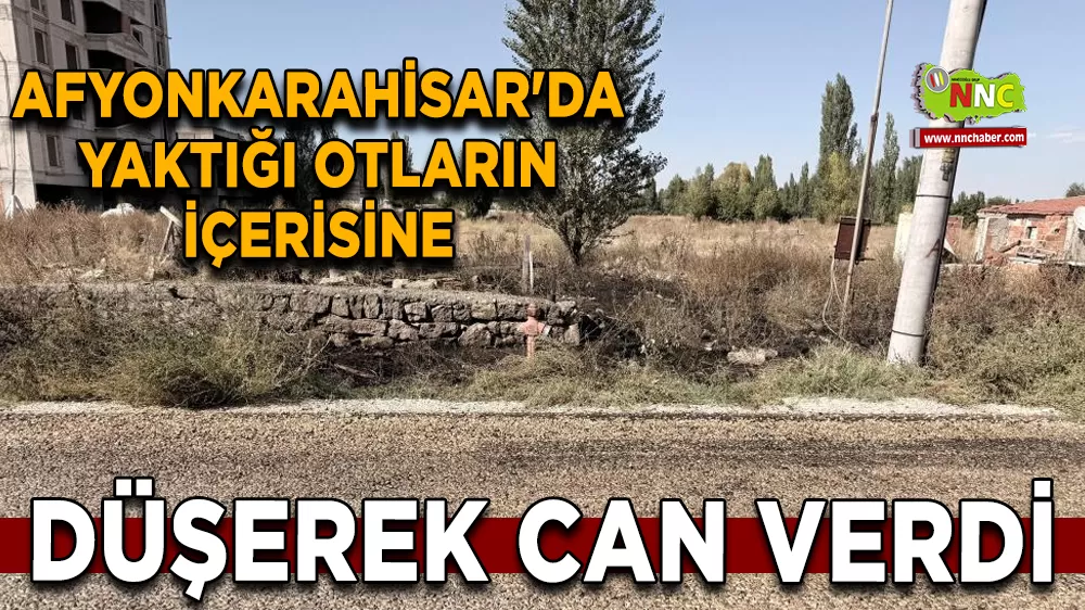 Afyonkarahisar'da yaktığı otların içerisine düşerek can verdi
