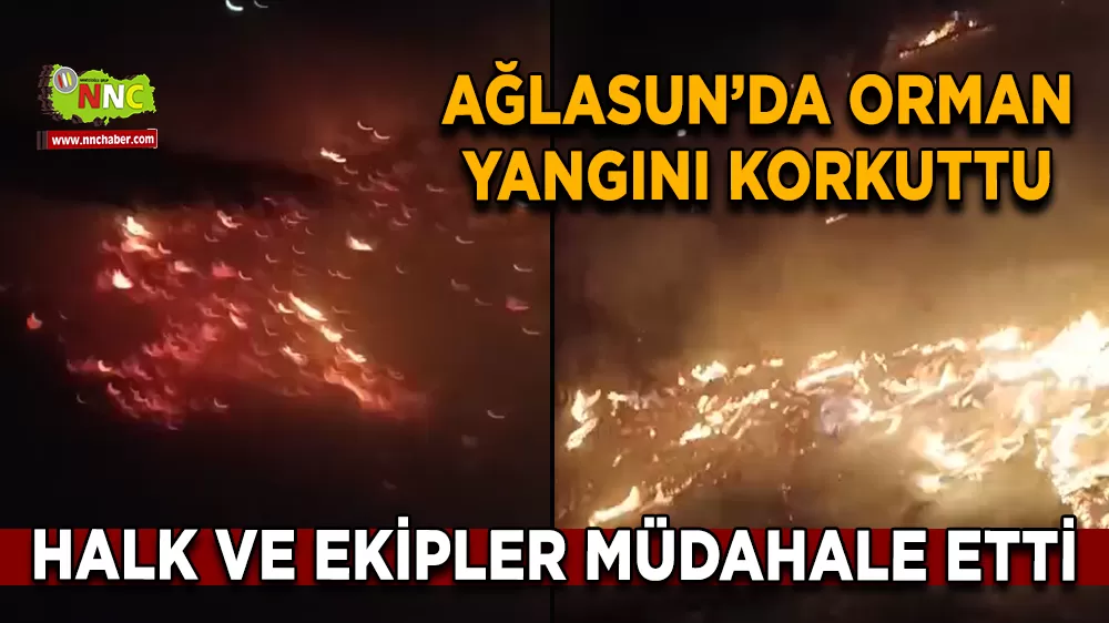 Ağlasun’da orman yangını korkuttu Halk ve ekipler müdahale etti