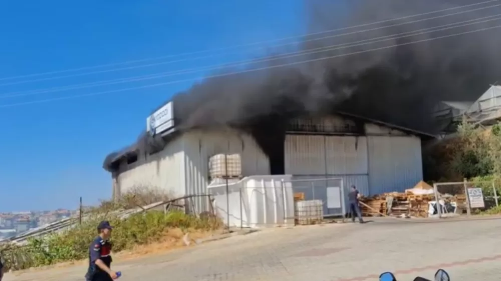 Alanya'da serada çıkan yangın depoya sıçradı