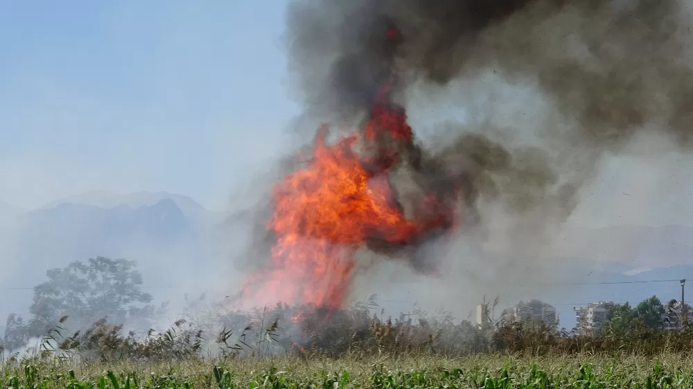 Antalya'da kargılık alanda yangın