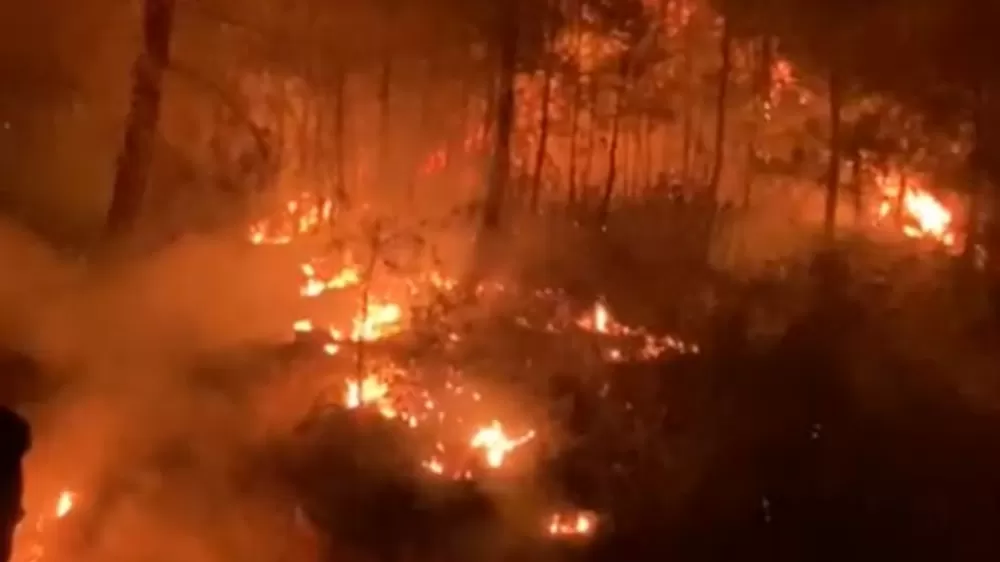 Antalya Gazipaşa'da ormanlık alanda çıkan yangın kontrol altına alındı