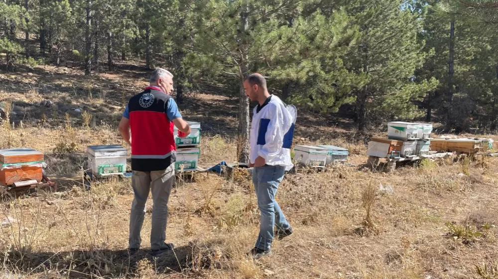  Beyşehir’de arılı kovan sayımları yapılıyor
