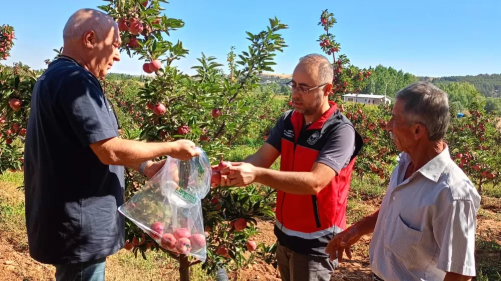 Beyşehir'de hasat öncesi pestisit denetimleri