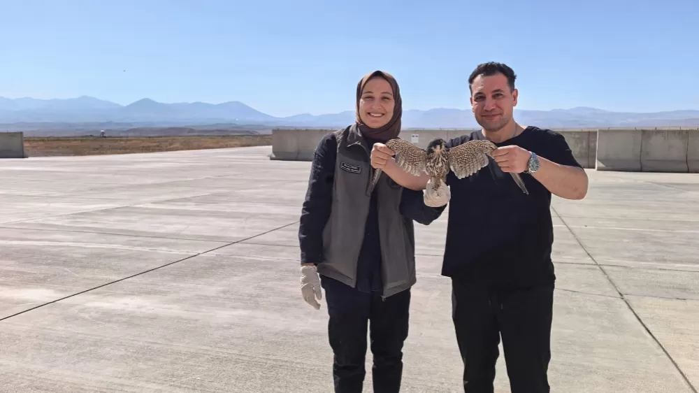 Bitkin halde bulunan yaralı Delice Doğan tedavi altına alındı