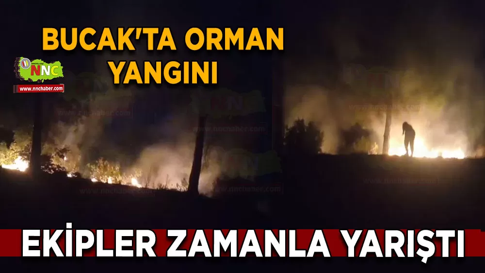 Bucak'ta korkutan orman yangını! Ekipler zamanla yarıştı