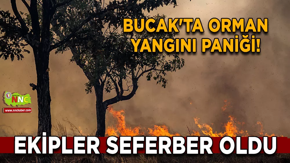 Bucak'ta orman yangını paniği! Ekipler seferber oldu