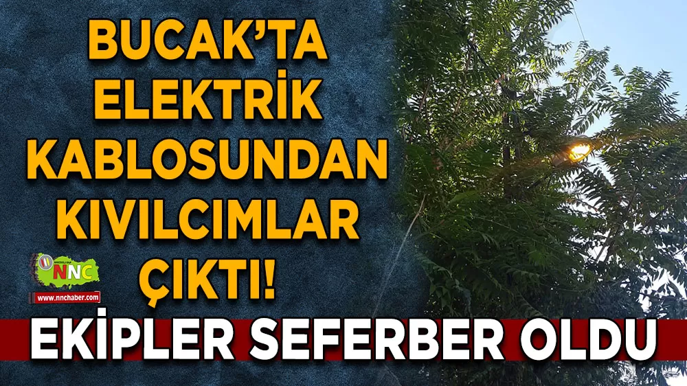Burdur Bucak’ta elektrik kablosundan kıvılcımlar çıktı! Ekipler seferber oldu