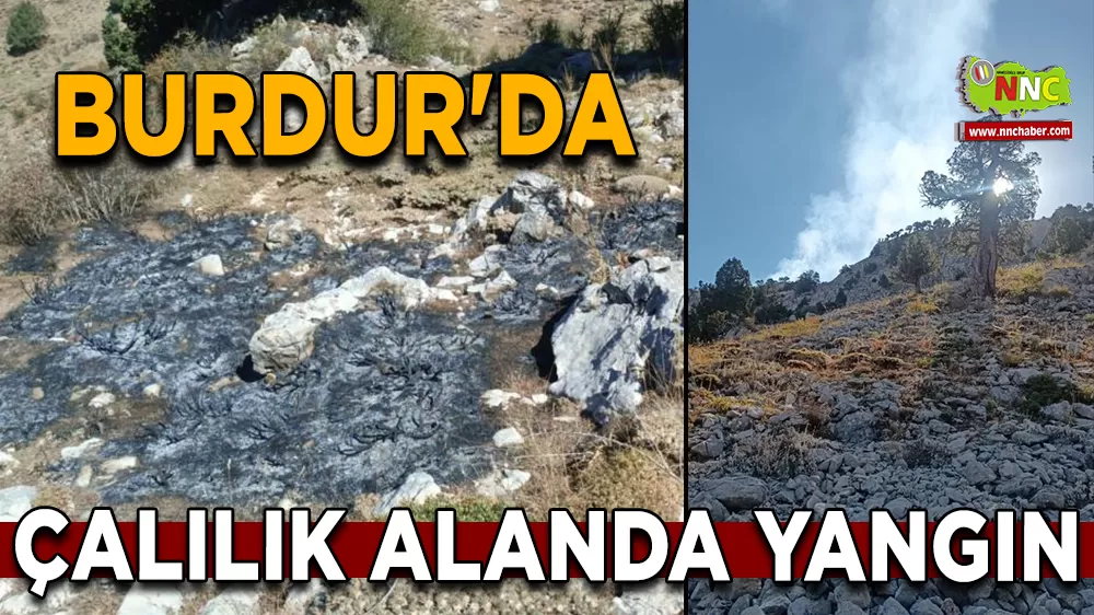 Burdur'da çalılık alanda yangın 