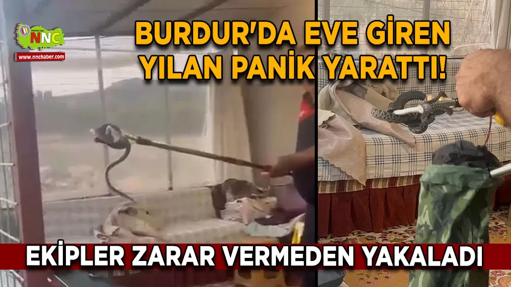 Burdur'da eve giren yılan panik yarattı! Ekipler zarar vermeden yakaladı