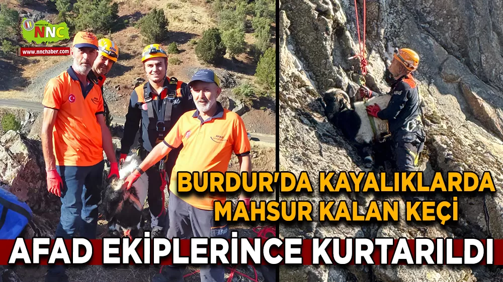 Burdur'da kayalıklarda mahsur kalan keçi AFAD Ekiplerince kurtarıldı