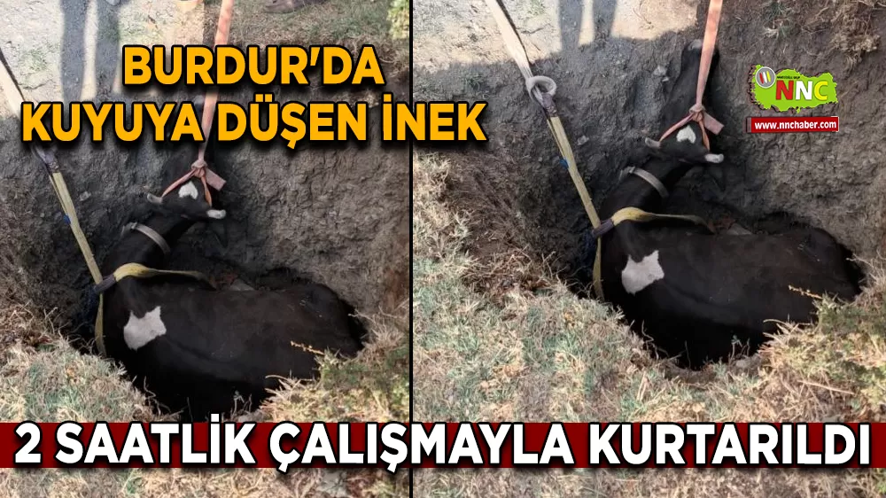 Burdur'da kuyuya düşen inek 2 saatlik çalışmayla kurtarıldı