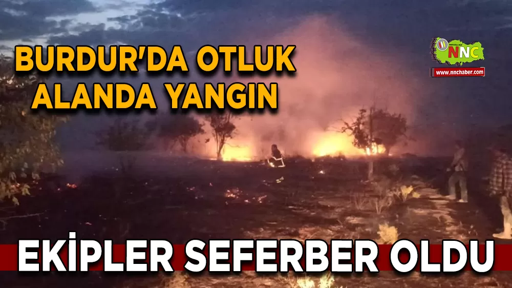 Burdur'da otluk alandaki yangın itfaiye tarafından söndürüldü