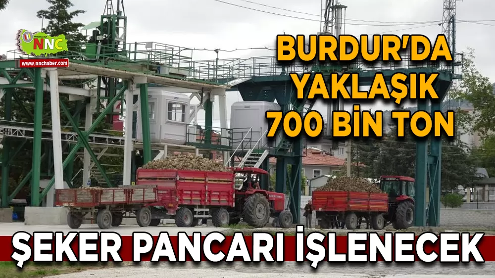 Burdur'da yaklaşık 700 bin ton şeker pancarı işlenecek