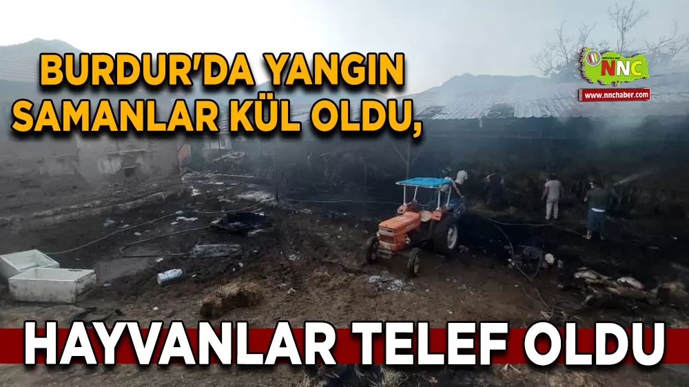 Burdur'da yangın samanlar kül oldu, hayvanlar telef oldu