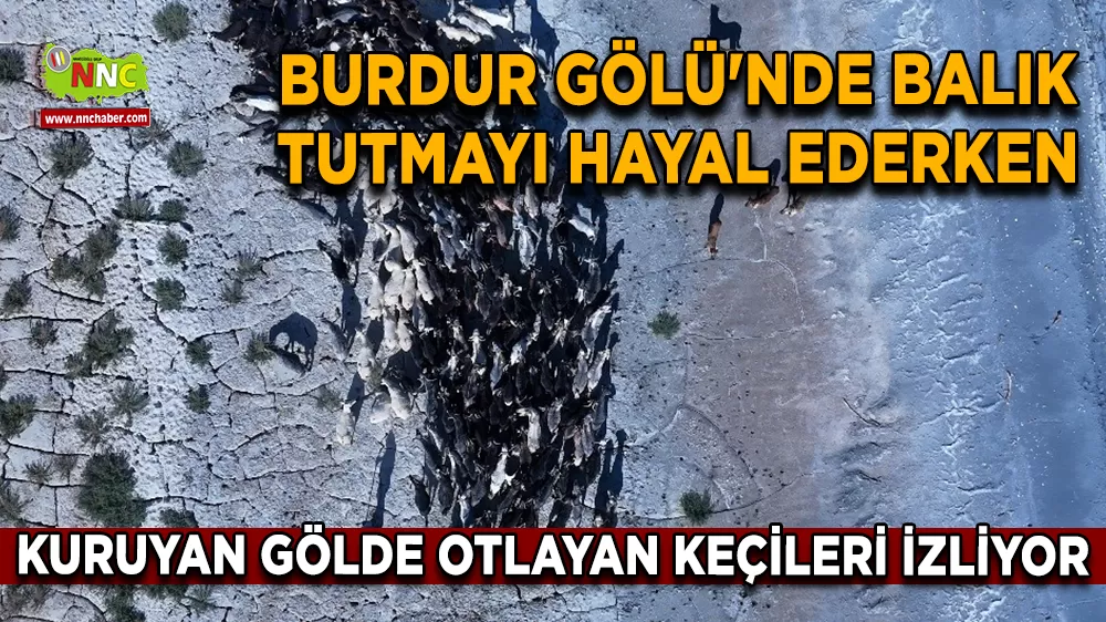 Burdur Gölü'nde balık tutmayı hayal ederken kuruyan gölde otlayan keçileri izliyor