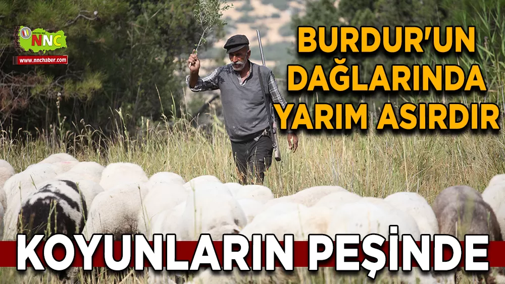Burdur'un dağlarında yarım asırdır koyunların peşinde
