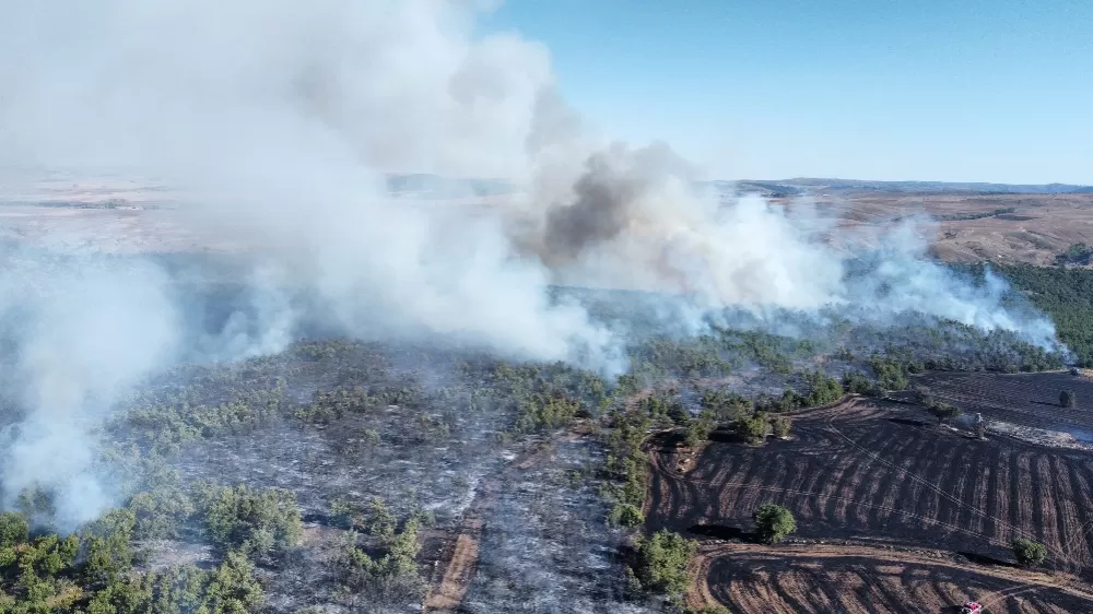  Çorum Alaca’daki yangında 70 bin dönümden fazla alan zarar gördü