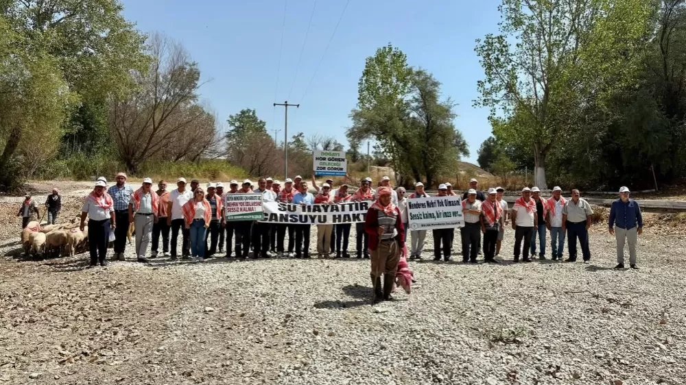 Denizli'de kınalı koyunlar suya değil, kurumuş toprağa atladı