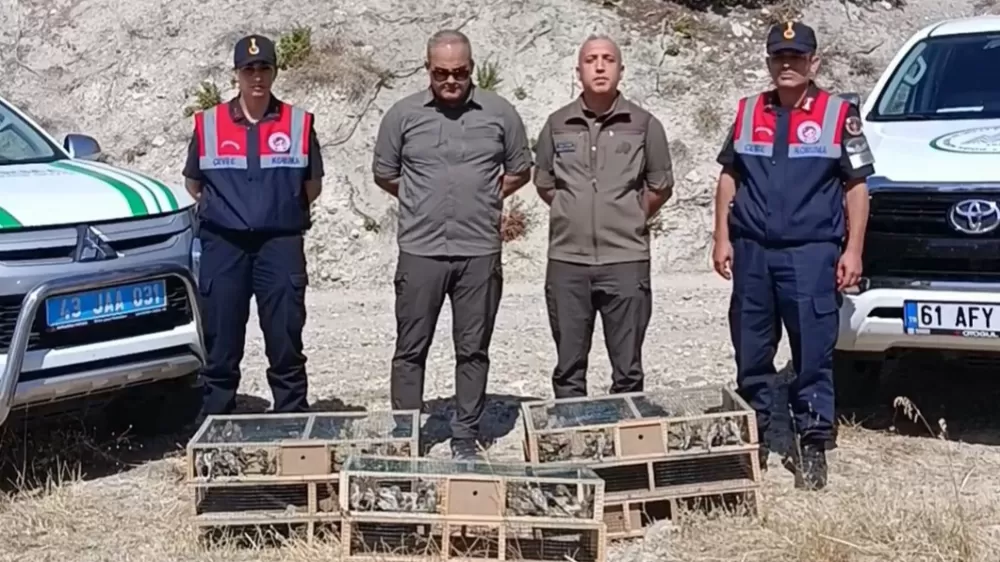 DKMP ekipleri izinsiz yakalanan şaka kuşu ele geçirdi