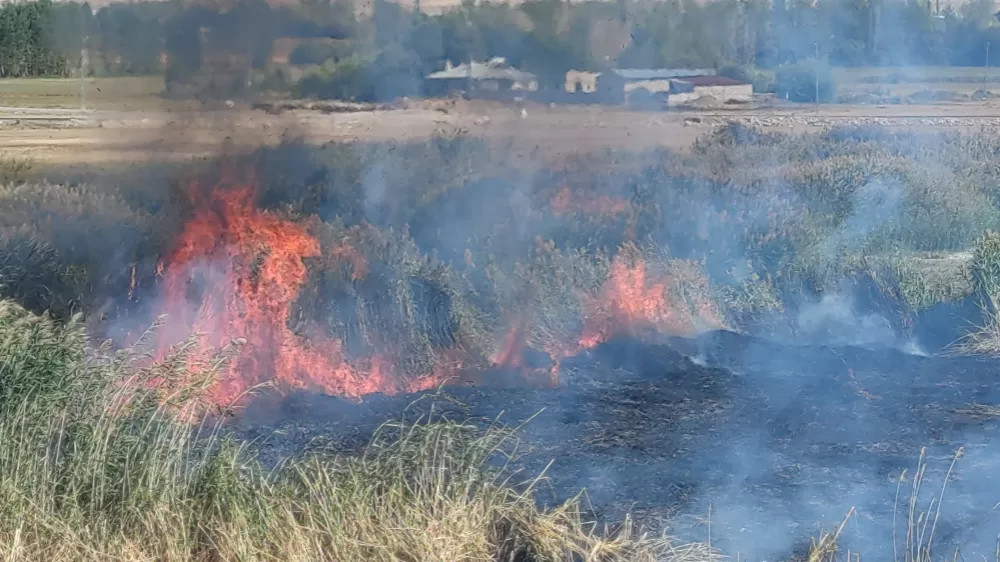 Doğa harikası Erçek Gölü sazlıklarında yangın çıktı