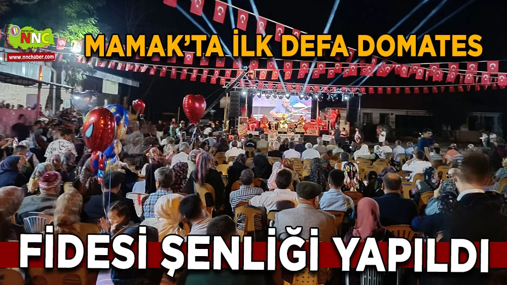 Domates Fidesi Şenliği köyde beğeni topladı