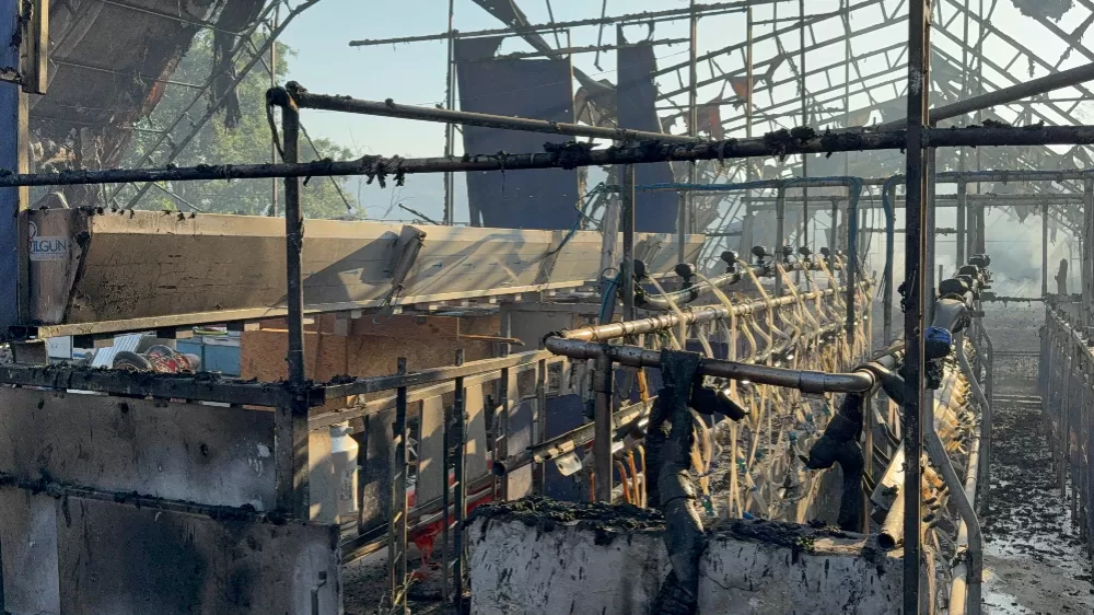   Düzce’deki orman yangınında keçi üretim çiftliği küle döndü