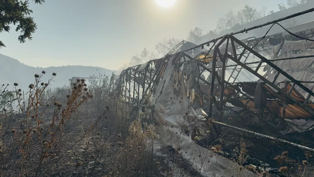 Düzce’deki orman yangınında keçi üretim çiftliği küle döndü