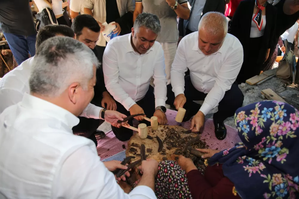 Antalya Alanya'da keçiboynuzu hasat şenliği ve coğrafi tescil belge töreni