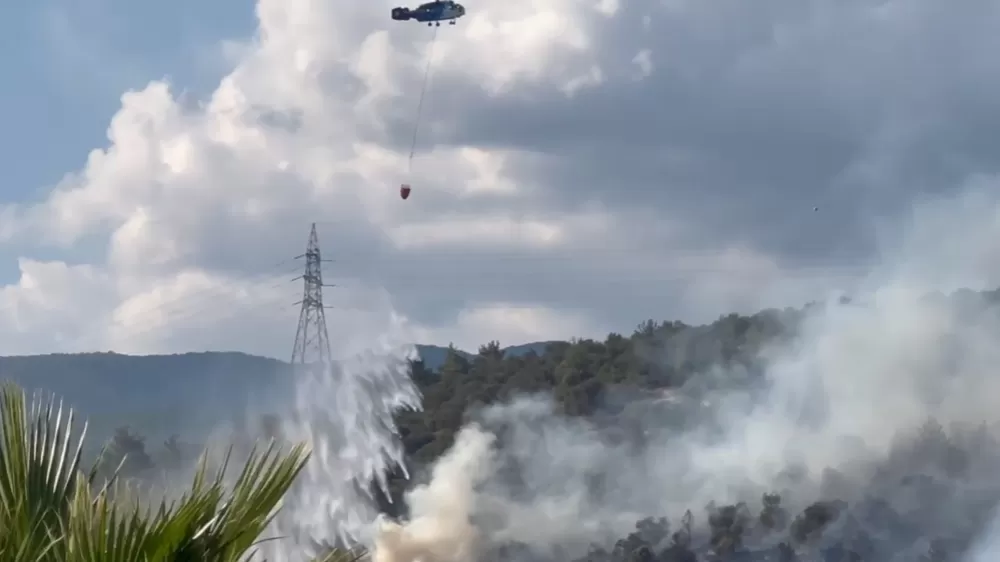 Güre'de zeytinlik yangını! Havadan müdahale başladı