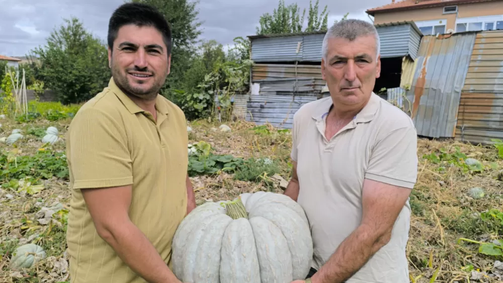 Hasadı başlayan balkabağı fiyatıyla yüzleri güldürdü
