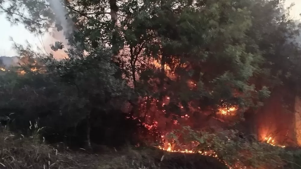 Hatay'da orman yangını! Ekipler seferber oldu