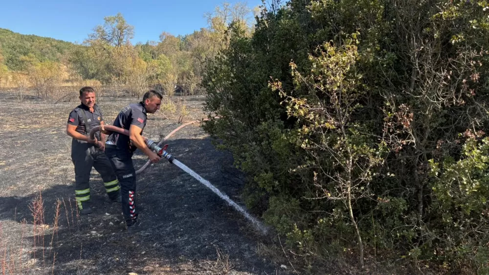 Makmak'ta orman yangını Ekipler tarafından söndürüldü