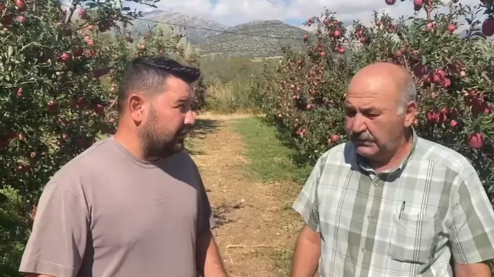 Isparta'da bir gecede 4 bin 200 ton elma doluya teslim oldu, zarar 170 milyon TL
