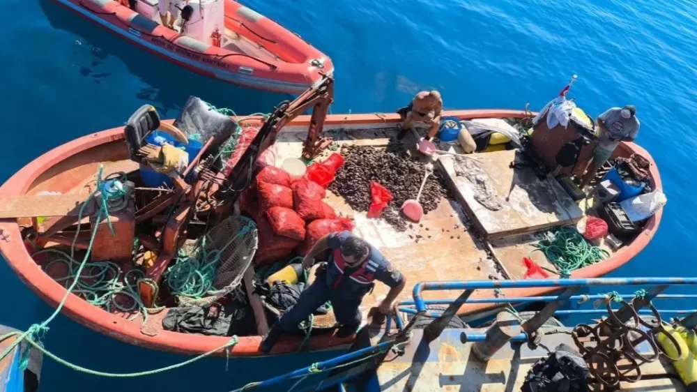 Kaçak avlanan 600 kilo midye tekrar denize bırakıldı