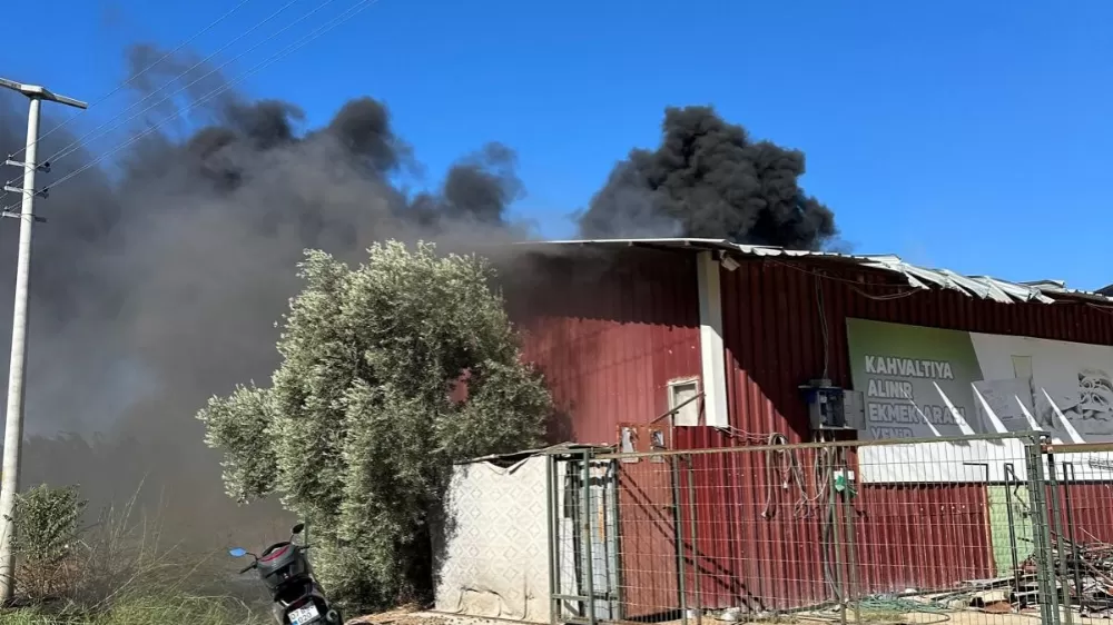 Kamışlık alanda başlayan yangın gıda toptancı deposuna sıçradı