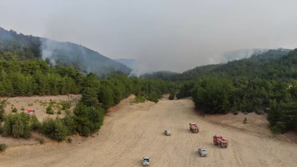 Kastamonu Araç'ta orman yangını 3 gündür devam ediyor 9 köy boşaltıldı 