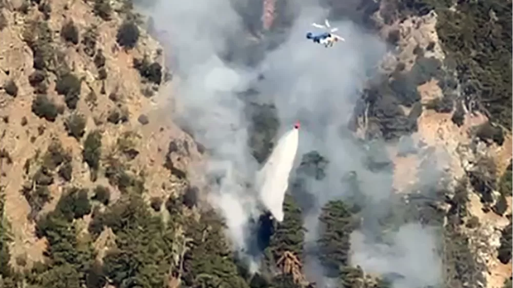 Köyceğiz yangını kontrol altında