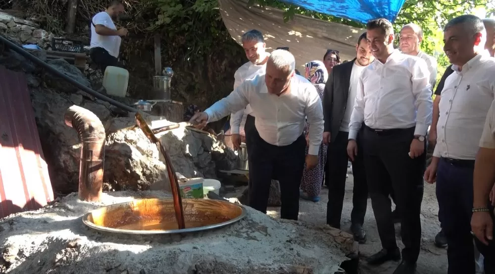 Antalya Alanya'da keçiboynuzu hasat şenliği ve coğrafi tescil belge töreni