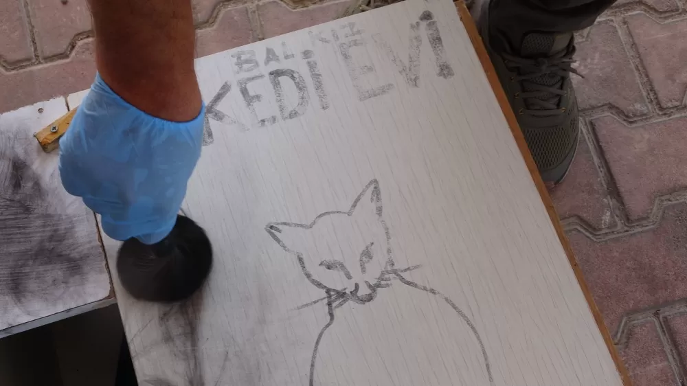 Mahalleli ve cami cemaatinin baktığı kedilerin evlerini çöpe attılar