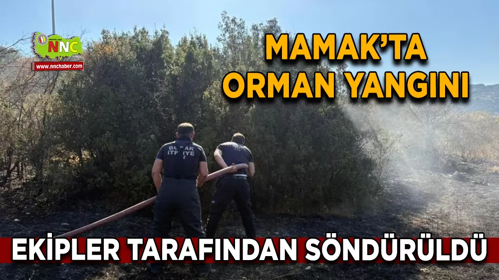 Makmak'ta orman yangını Ekipler tarafından söndürüldü
